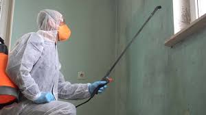 Why You Should Choose Our Mold Remediation Services in Heyworth, IL